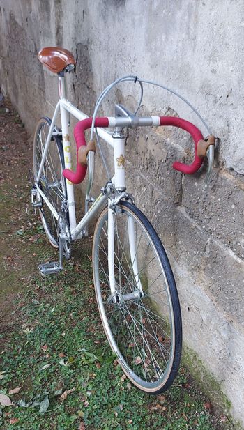 Used Olmo Olmo Competition Eroica 1982 Road & Gravel, Bianco — image 5 of 15