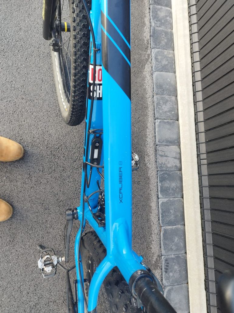 Trek x caliber 8 best sale 2021 blue