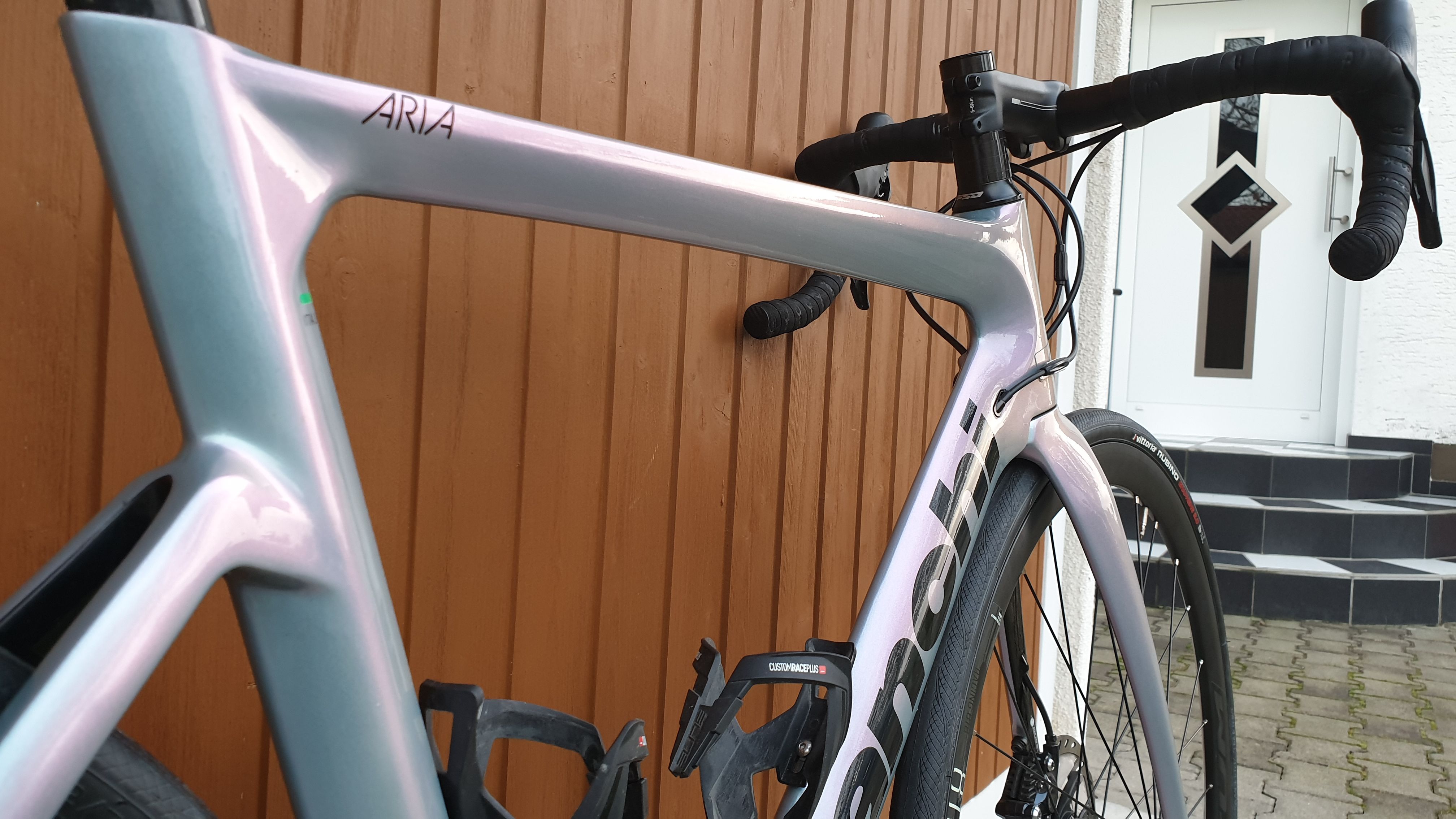 Cuadro discount bianchi aria