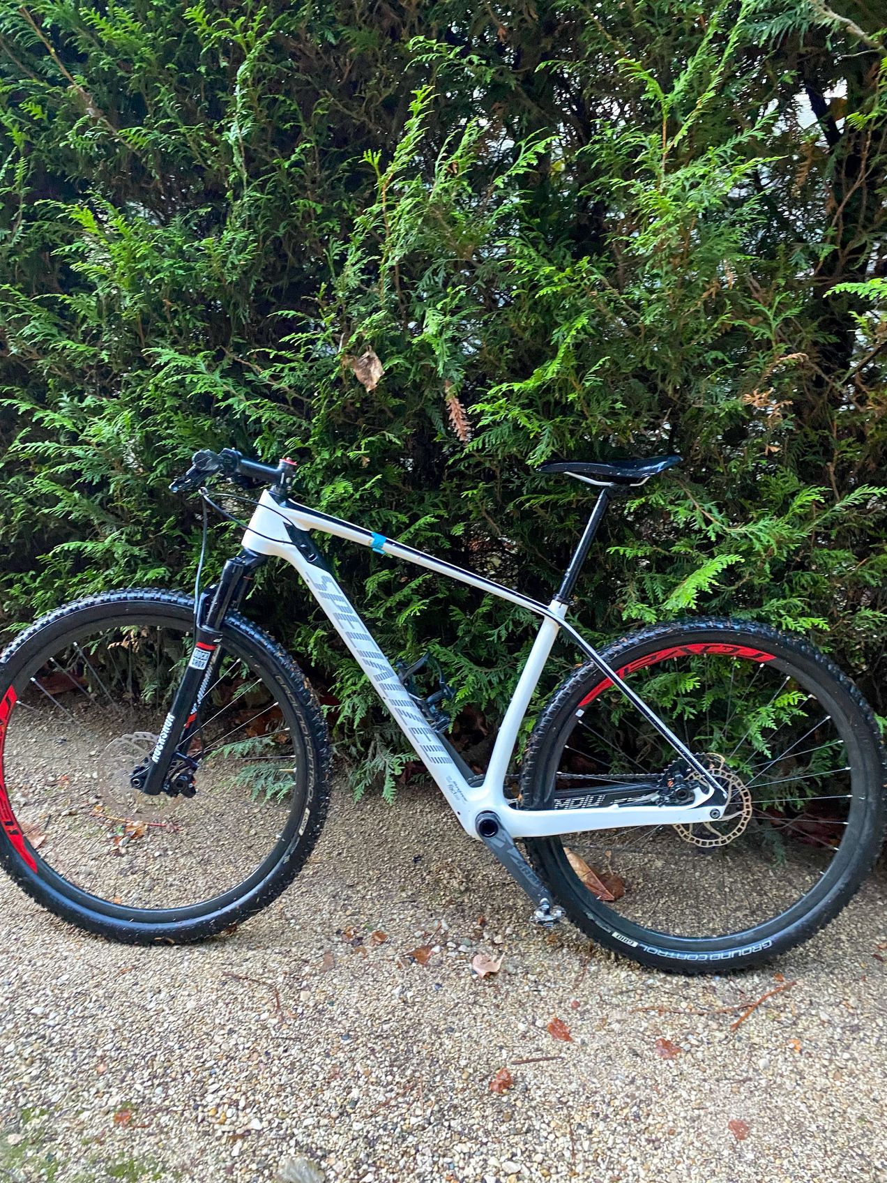 Specialized hardtail carbon discount 29er