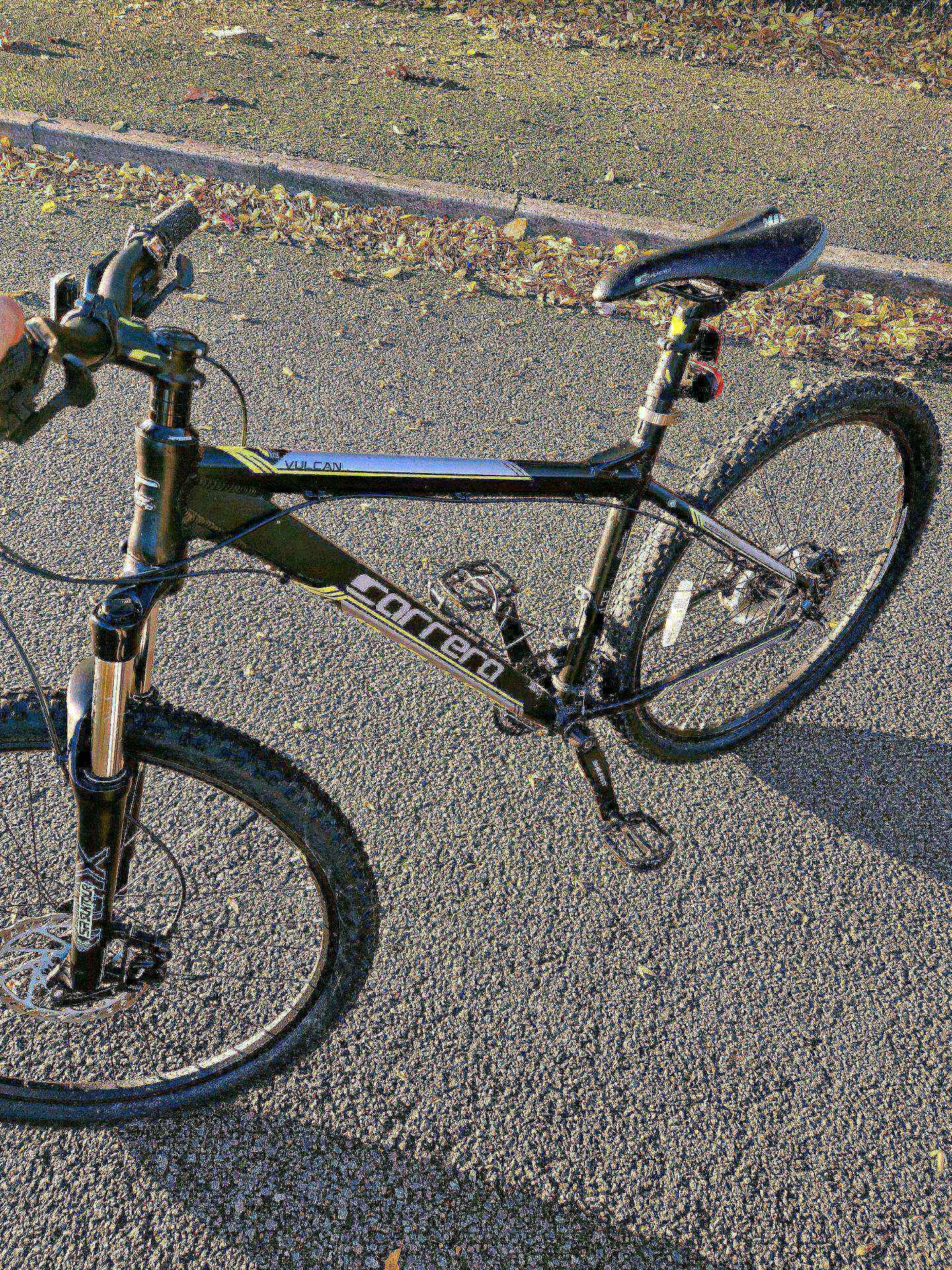 Vulcan mountain bike clearance price