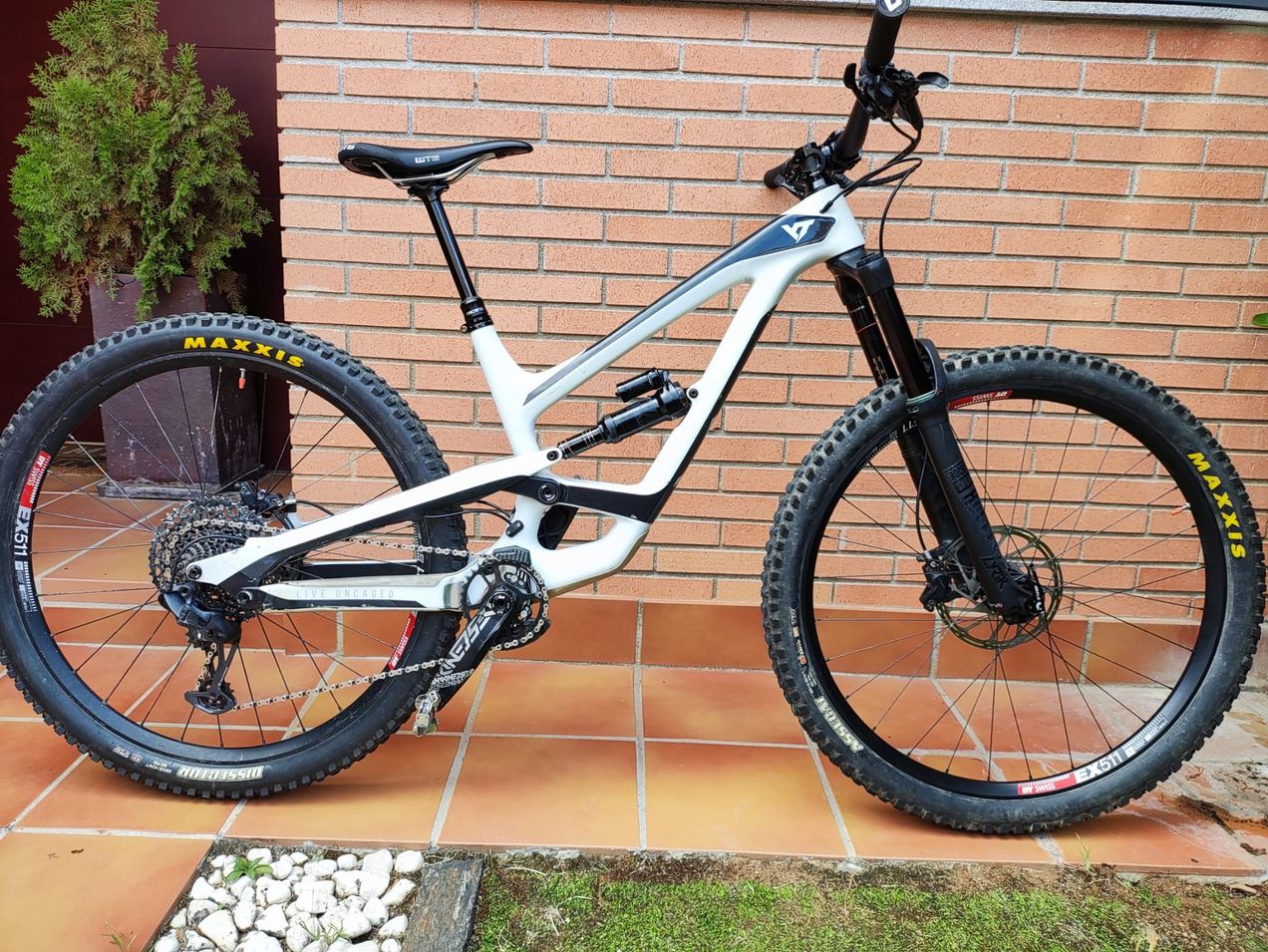 Yt capra cf pro 2019 hot sale