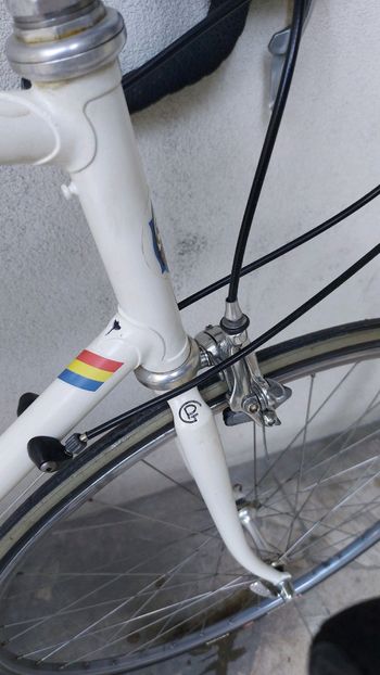 Used Pinarello Pinarello BANESTO 1999 Road & Gravel, Bianco — image 5 of 16