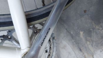 Used Pinarello Pinarello BANESTO 1999 Road & Gravel, Bianco — image 9 of 16