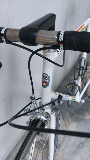 Used Pinarello Pinarello BANESTO 1999 Road & Gravel, Bianco — image 15 of 16