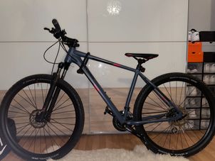 Custom - Mountainbike Axess, 2022