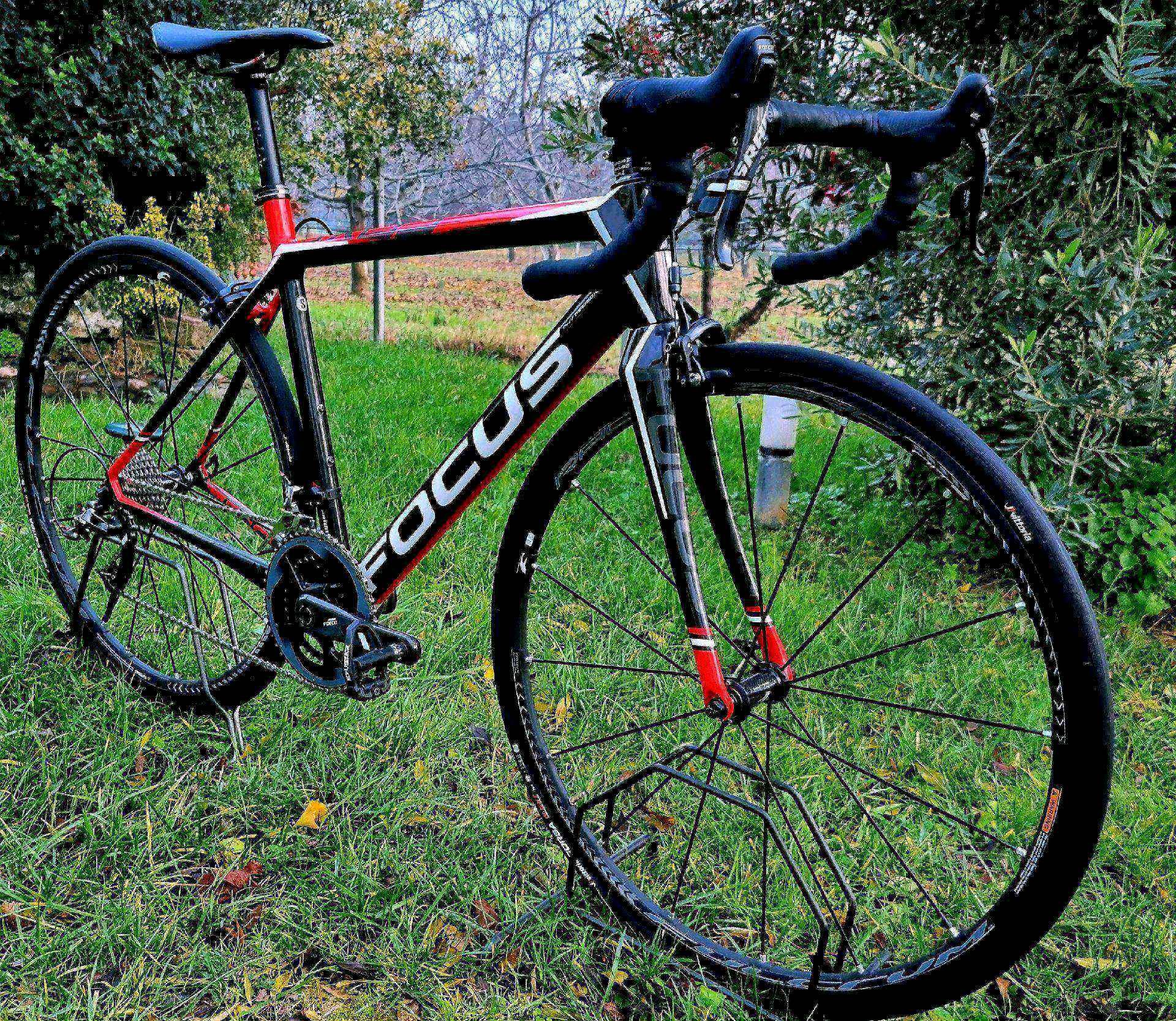 Focus cayo deals carbon road bike