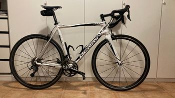 Used Berria Falcon 2.2 2017 Road & Gravel, White — image 1 of 5
