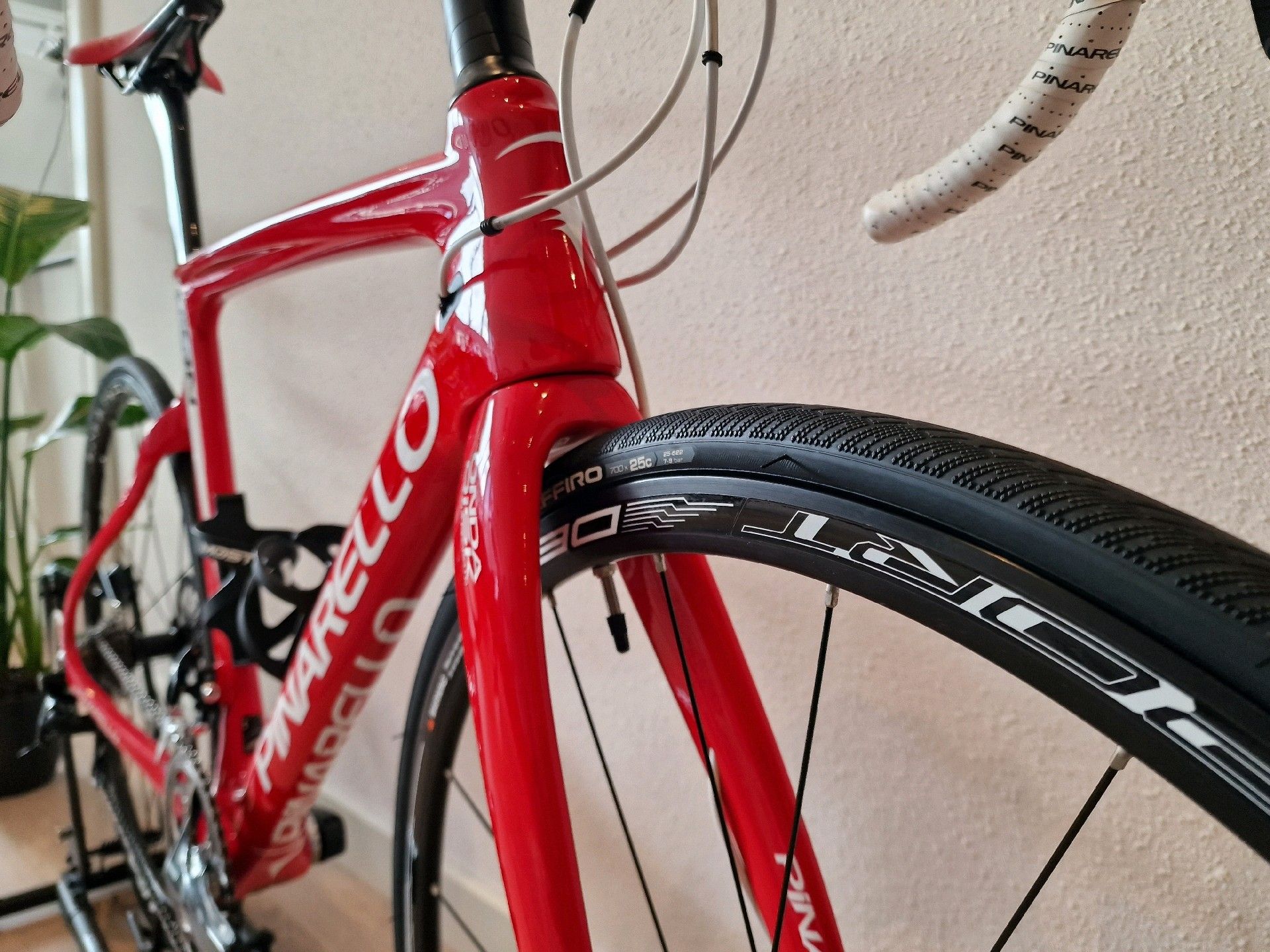 Pinarello gan cheap gr 105 bike