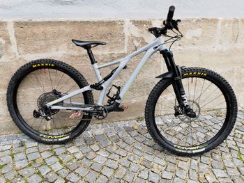 Specialized - Stumpjumper Comp Alloy 29, 2020