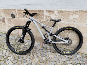 Specialized - Stumpjumper Comp Alloy 29, 2020