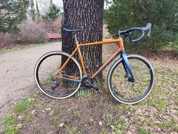 Scott speedster gravel shop 20 2020 test