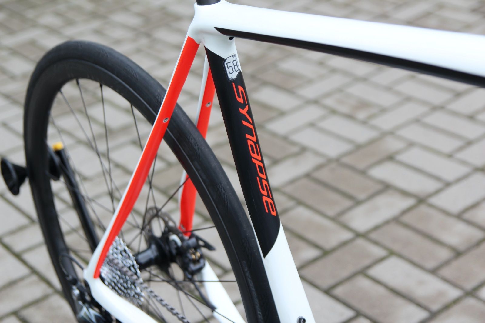 Synapse dura hot sale ace 2019