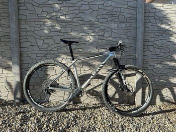 Canyon - Exceed CF 7, 2023