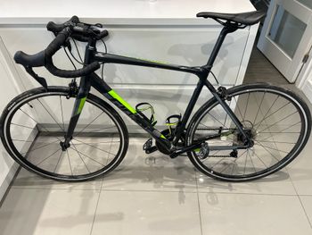 Giant - Contend SL 1, 2019