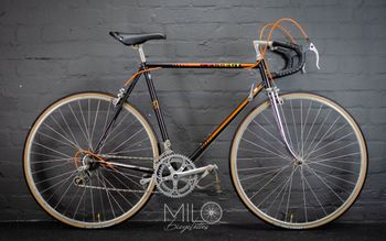 Used Peugeot PH11 1984 Road & Gravel — image 1 of 5