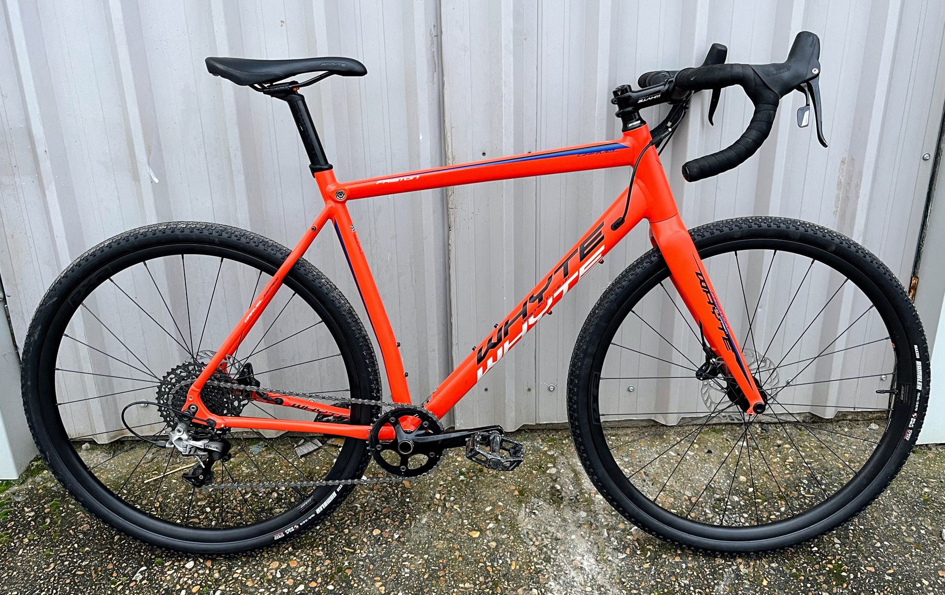 whyte friston 2019 review