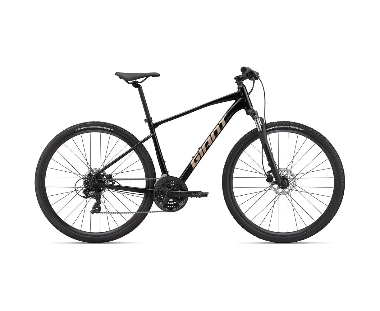 2021 giant best sale roam 4