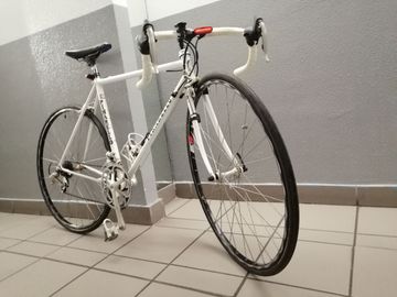 Gebrauchtes Pinarello Cadore 2000 Road & Gravel