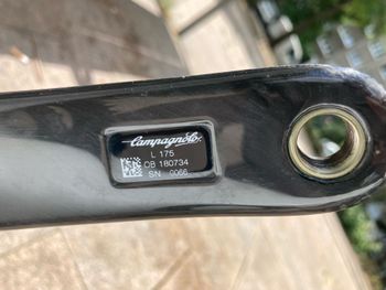 Used Colnago V1-R Frameset 2019 Road & Gravel, White — image 8 of 12