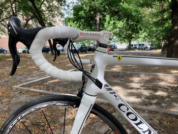 Used Colnago V1-R Frameset 2019 Road & Gravel, White — image 11 of 12