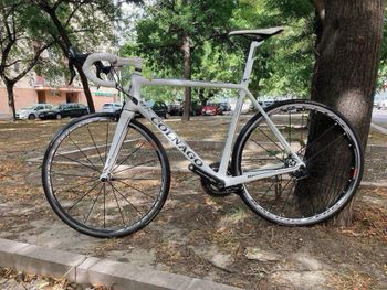 Used Colnago V1-R Frameset 2019 Road & Gravel, White — image 10 of 12