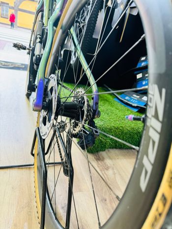 Used Evil CHAMOIS HAGAR 2021 Road & Gravel — image 3 of 8