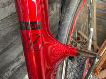 Used SpeedX Leopard Pro 2024 Road & Gravel, Red — image 5 of 13