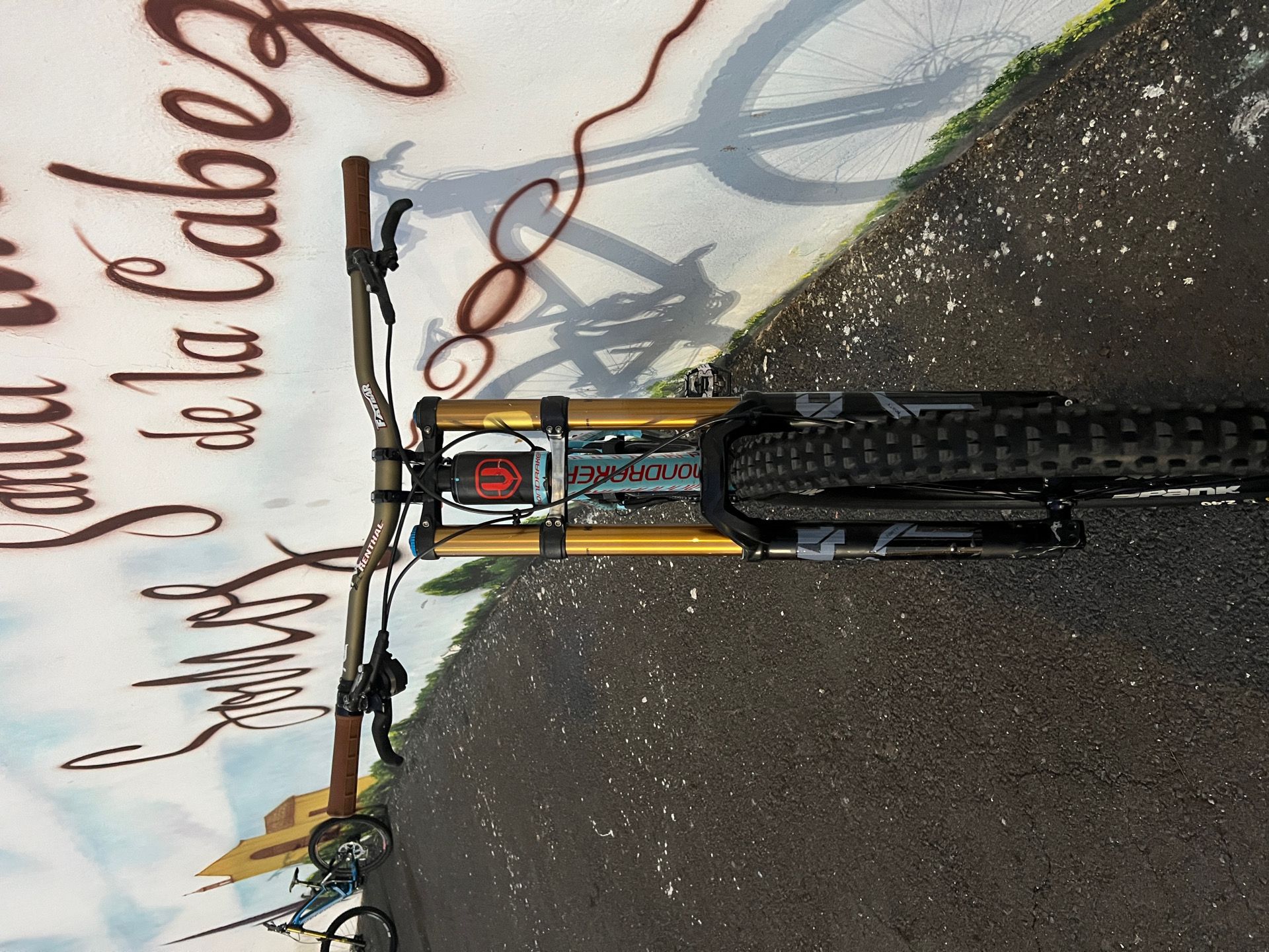 Mondraker summum carbon pro best sale team 2018