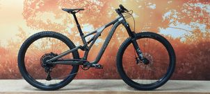 Specialized - Stumpjumper Comp Alloy 29, 2023