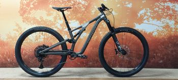 Specialized - Stumpjumper Comp Alloy 29, 2023