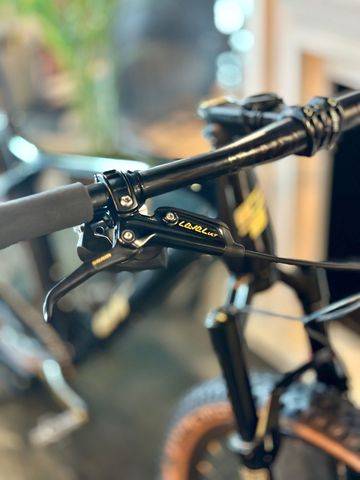 GT Zaskar Carbon Comp 2022 2022 Mountainbike d'occasion — image 2 sur 6