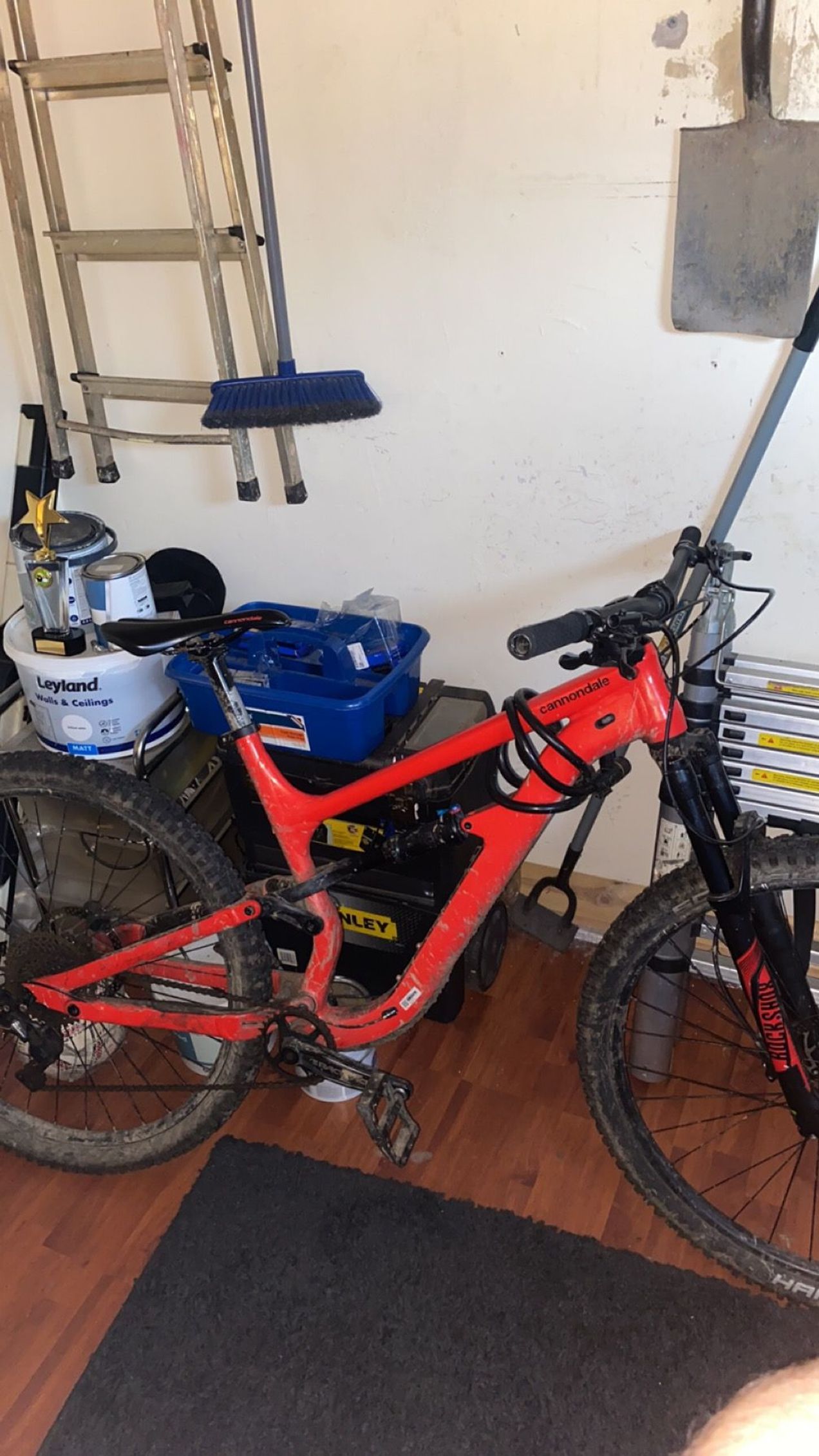 cannondale habit 6 2019