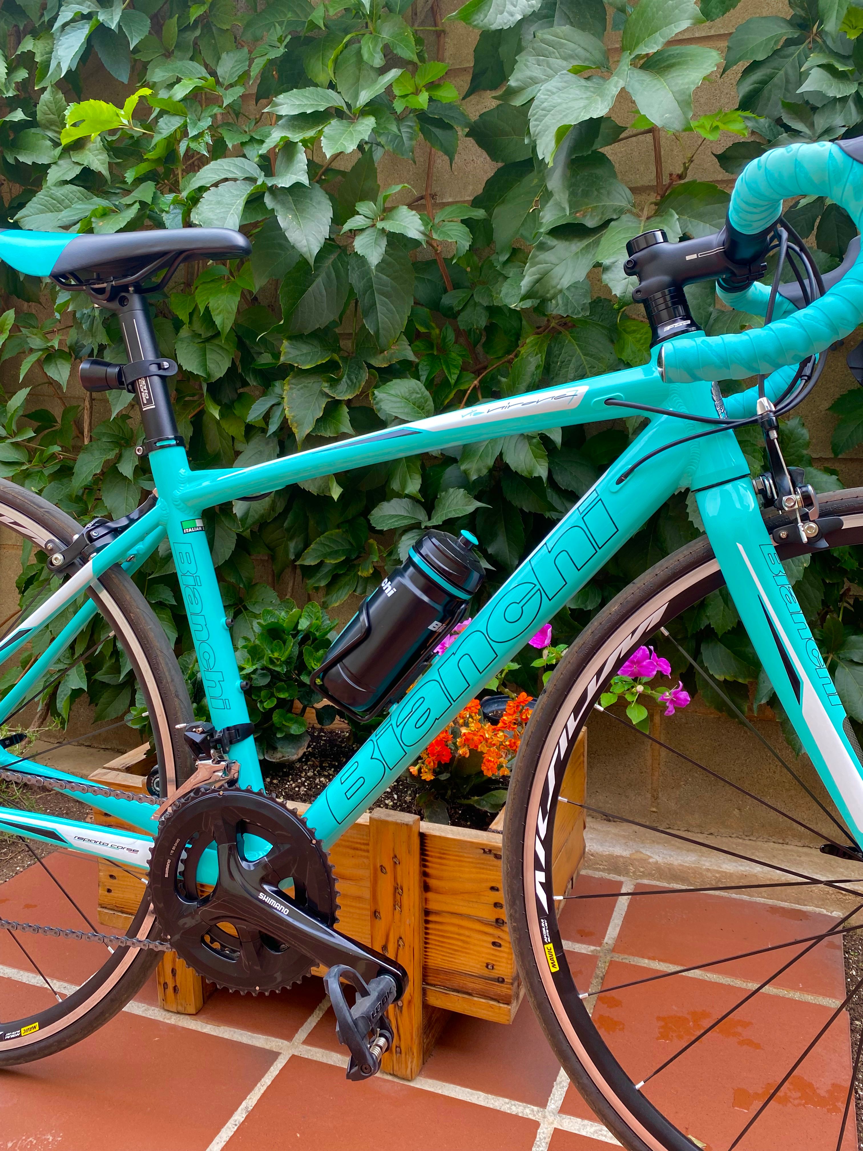 Bianchi via cheap nirone sora 2021