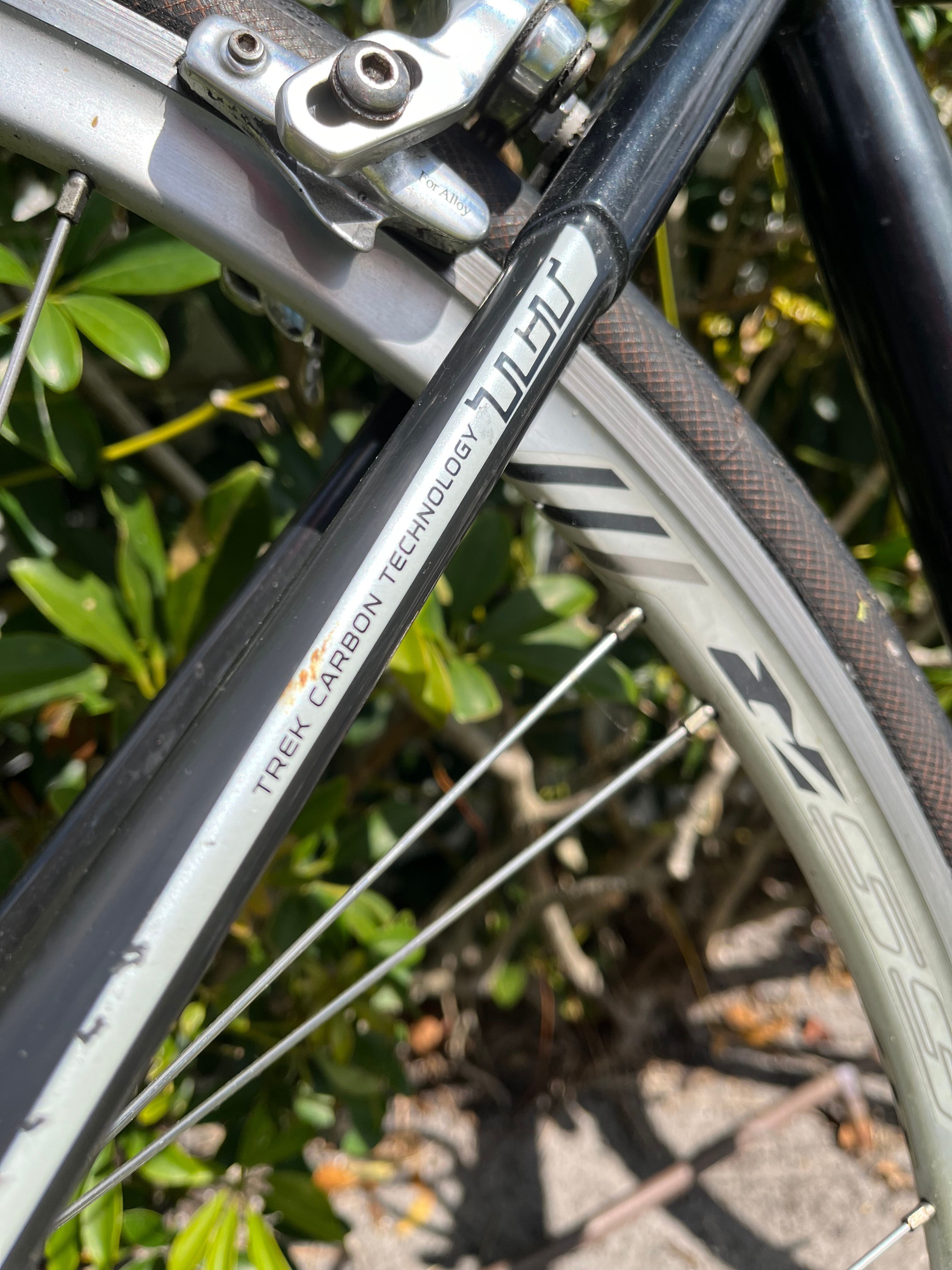 Trek discount 2.1 wsd