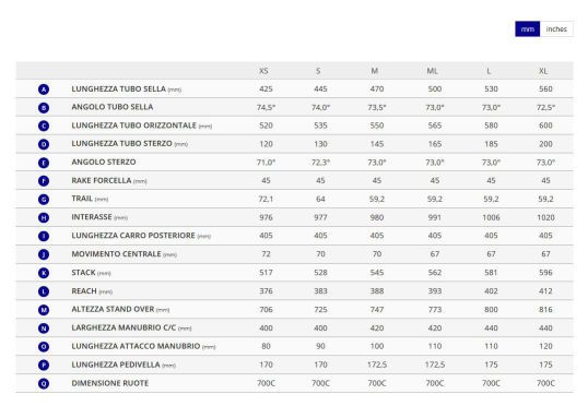 Geometrie sales giant tcr