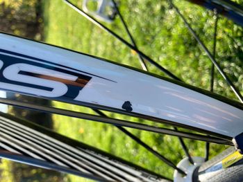 Used Scott Addict Shimano Dura Ace 2010 Road & Gravel, White — image 8 of 12