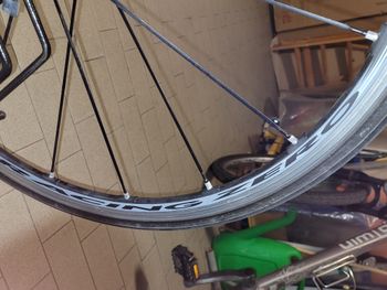 Used Wilier Le Roi 2009 Road & Gravel, White — image 7 of 9