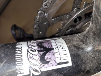 Used Wilier Le Roi 2009 Road & Gravel, White — image 9 of 9