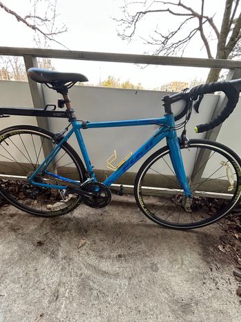 2005 discount fuji roubaix