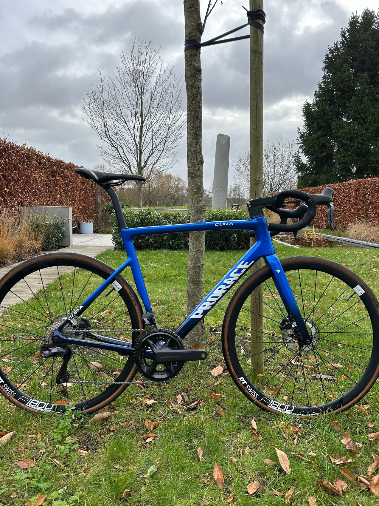 Prorace clearance road bike