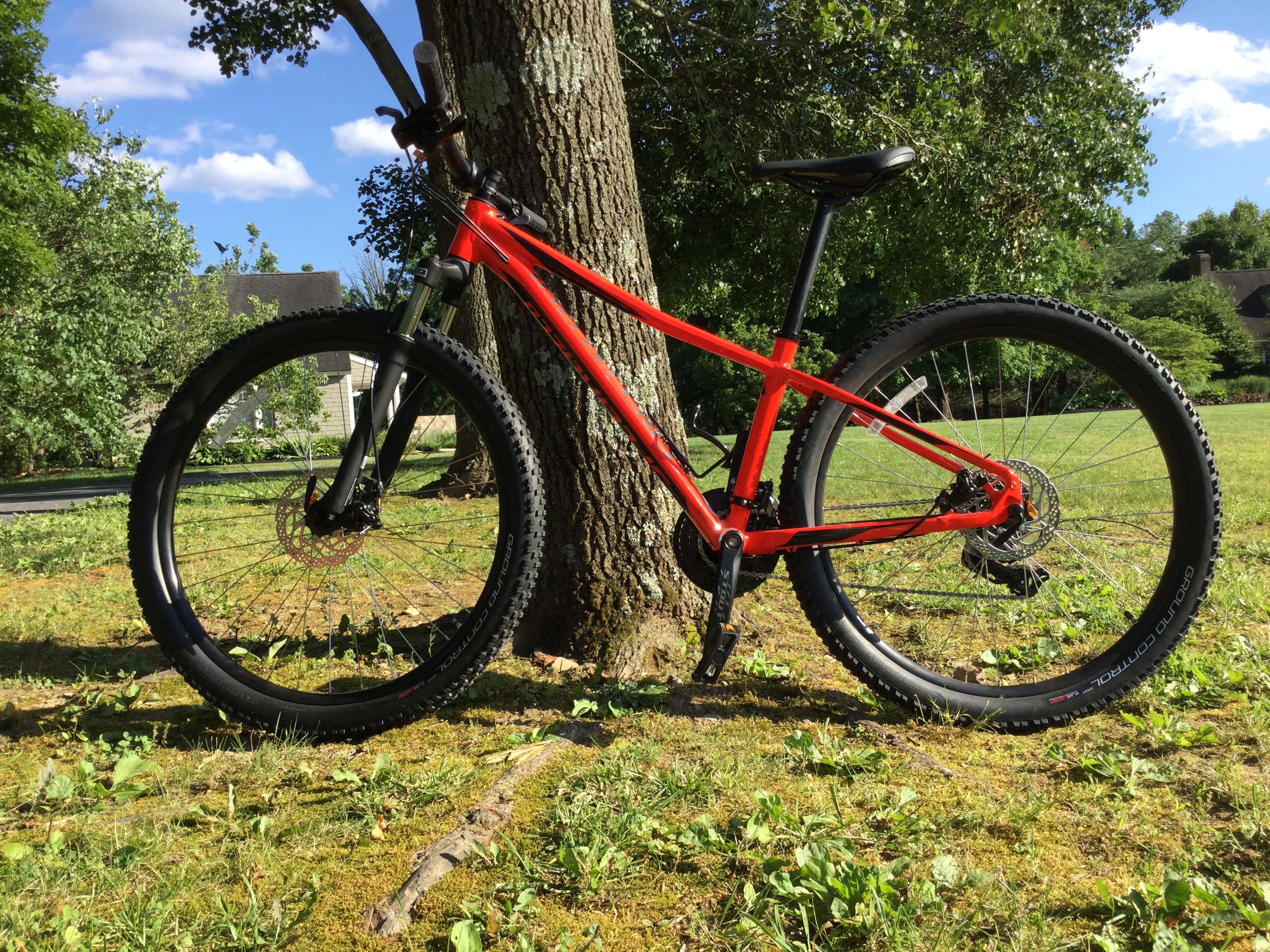 2019 specialized 2024 pitch comp