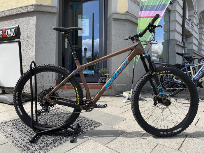 Santa cruz chameleon discount bronze