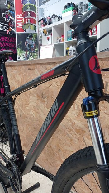 Used LOMBARDO SESTRIERE 300 2023 Mountainbike, Light Gray — image 3 of 8