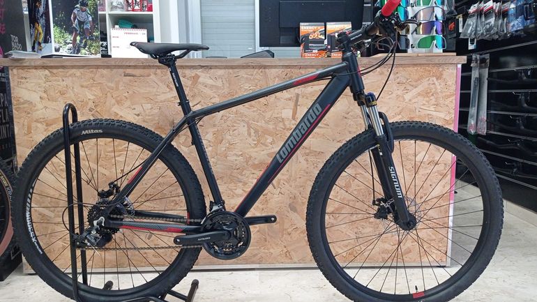 Used LOMBARDO SESTRIERE 300 2023 Mountainbike, Light Gray — image 1 of 8