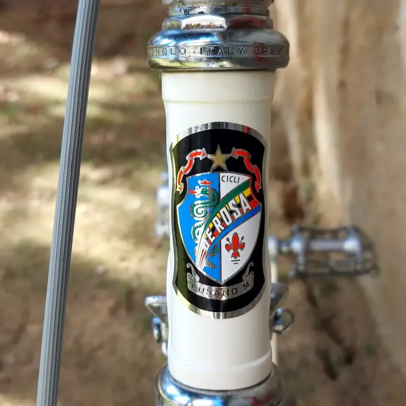 Used De Rosa Nuovo Record Eroica 1968 Road & Gravel