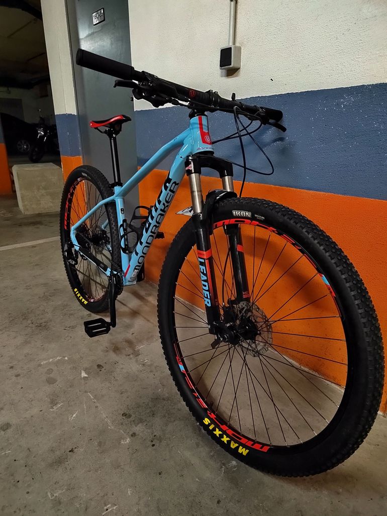 Foxter best sale 29er 2019