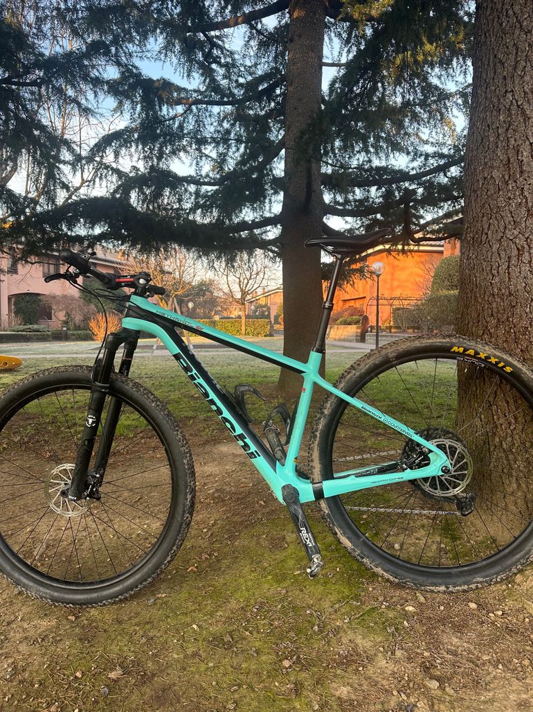 Bianchi methanol cv 9.5 online