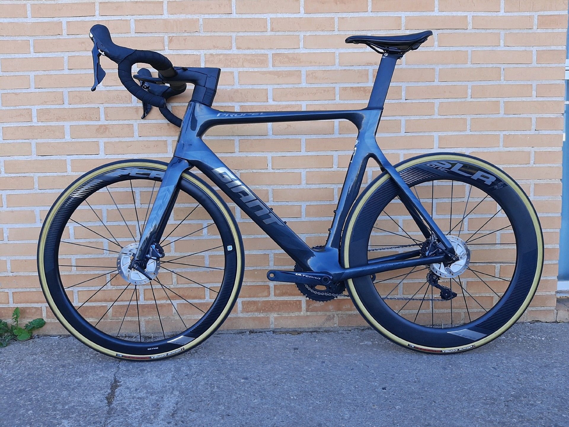 Giant propel advanced 1 disc 2024 2019