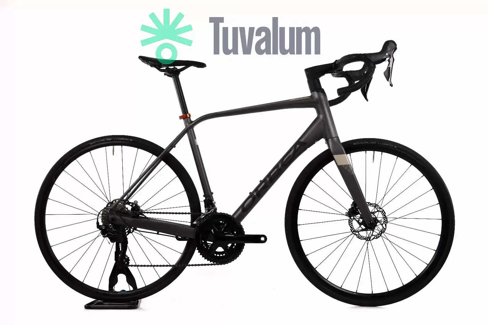 Tuvalum orbea 2025